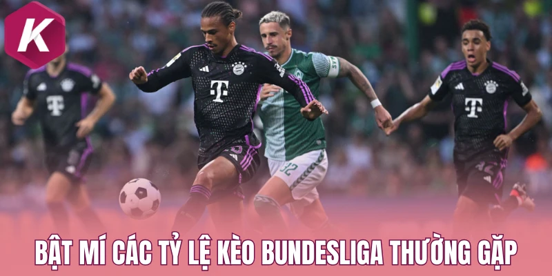 Bật mí các tỷ lệ kèo Bundesliga thường gặp