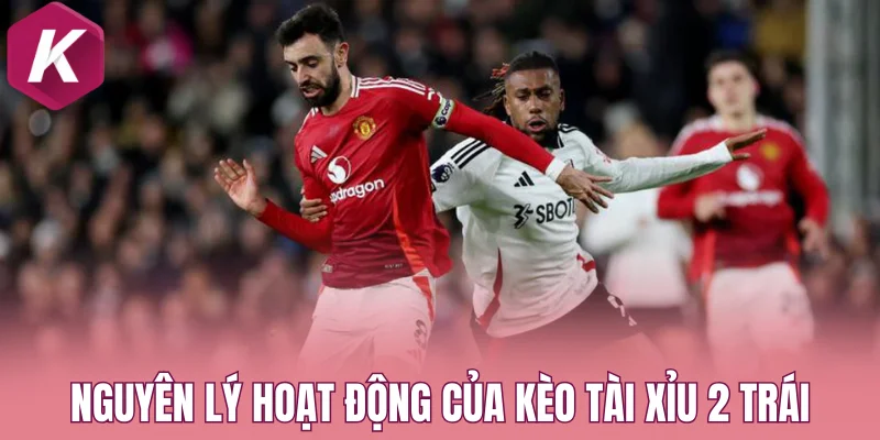 Nguyên lý hoạt động của kèo tài xỉu 2 trái