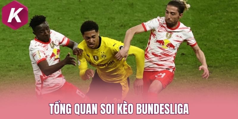 Tổng quan soi kèo Bundesliga