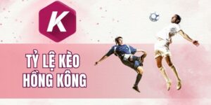 Bạn nên áp dụng bí quyết khi bắt kèo HK Odds